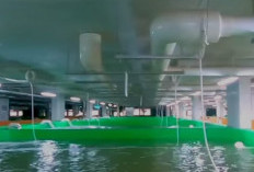 Berternak Ikan dalam Gedung: Pusat Akuakultur Paling Modern dan Terbesar di Dunia