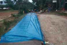 Usulan 13 Tahun Tak Digubris, Sidodadi Bangun Jalan Poros Pakai Dana Desa 