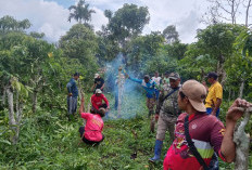 Jalan Baru Penghubung  Paku Brak-Johor Dibuka