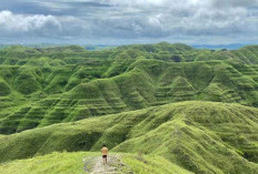 Eksplorasi Menarik Wisata Sumba Timur
