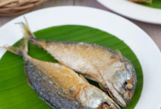 Manfaat Mengonsumsi Ikan Asin bagi Kesehatan dan Cara Mengolahnya