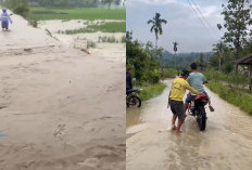 4 Hektare Sawah di BNS Terendam Banjir