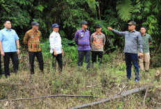 Kejari Lambar Targetkan Buka  7 Hektare Lahan Ketahanan Pangan