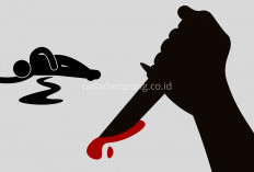 Tegur Adik Buang Beras, Pria di Register 45 Mesuji Dibacok