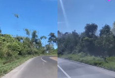 Kabel Tegangan Menengah Nyaris  Sentuh Tanah di Jalan Liwa- Ranau 