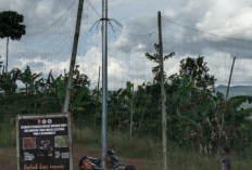 Tingkatkan PJU Dukung Aktivitas  Perkebunan dan Keamanan Warga