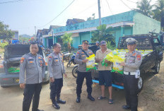 Polsek Bengkunat Gelar GPM, 260 Karung Beras Habis Diserbu Warga