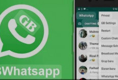 Ciri-ciri Orang Menggunakan WA GB (GB WhatsApp)