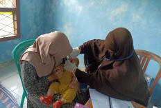 Puskesmas Batubrak Targetkan  Sebanyak 348 Anak Diimunisasi 