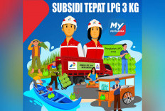 Panduan Pendaftaran Penerima Subsidi LPG 3 Kg Melalui MyPertamina