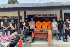 Kurang Dari Sebulan,  Polsek Sekincau Berhasil  Ungkap Tiga Kasus Curat  