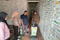 33,8 Ton Beras CPPD Pesisir Barat Masih Aman