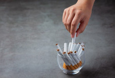Produksi Rokok Nasional Turun Hampir 10 Persen di Maret 2025, Libur Lebaran Jadi Faktor Utama