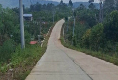 Minimnya Rambu dan PJU di Ruas  Jalan Sukabumi- Suoh Dikeluhkan 