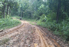 Camat Ngaras Harap Pemerintah  Prioritaskan Pembangunan Jalan