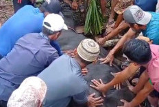 Masyarakat Pekon Sukamarga Laksanakan 'Ngebabali Pekon' atau Ruat Desa