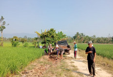 Beri Kenyamanan, Warga Gunung Ratu Gotong Royong Perbaiki dan Bersihkan Jalan