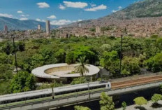 5 Taman Bunga Menakjubkan untuk Destinasi Liburan