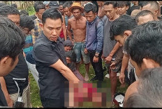 Kedapatan Curi Motor, Dua Pria di Pringsewu  Nyaris Diamuk Massa