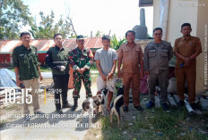 Cegah Rabies, Puskeswan Lumbokseminung Vaksin 200 HPR 