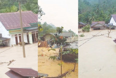 Banjir Bandang Terjang Suoh, Puluhan Rumah Rusak Parah