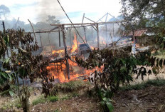 Ditinggal Pemilik Ke Kebun, Satu Rumah Panggung di Pekon Sukabumi Ludes Terbakar 