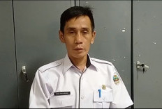 Sawit dan Kopi Jadi Komoditas Andalan di Pesisir Barat