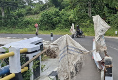 Talud Ambrol, Bahu Jalan Liwa-Ranau Terancam Amblas