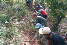 Pipa Air Bersih Di Rusak Gajah Liar, Warga Pekon Gunung Ratu Gotong Royong 