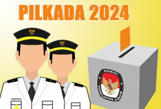 Pendaftaran Akhir Agustus 2024, KPU Pesisir Barat Beberkan Syarat Bagi Cabup-Cawabup 