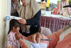 Camat Gedung Surian Turun  Langsung ke Sekolah dan Posyandu