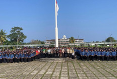 Pemkab Pesbar Siapkan Usulan Penerbitan Nomor Induk PPPK Tahap Dua