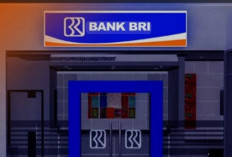 Update Terbaru! Bunga Deposito Bank BRI, Mandiri, BCA hingga BNI Desember 2024