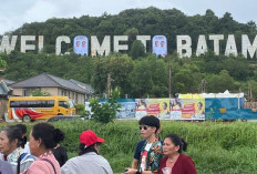 Batam Jadi Kota Percontohan  Dekarbonisasi di Sektor Bangunan 