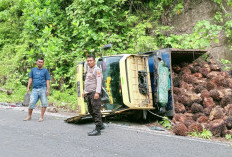 Tidak Kuat Menanjak, Truk Pengangkut Sawit Terbalik di Jalinbar