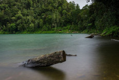 Danau Gunung Tujuh,  Permata Alam di Puncak Sumatera