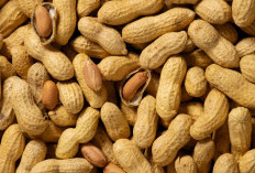 Manfaat Kacang Tanah bagi Kesehatan Pria