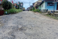 Jalan Rusak Parah,  Warga Desak Pemerintah Turun Tangan