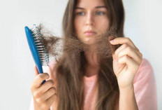 Penyebab Rambut Rontok  Berlebihan pada Wanita