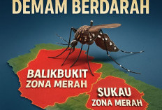 Lonjakan DBD Capai 160 Kasus, Balikbukit dan Sukau Zona Merah
