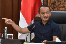 Pemerintah Siapkan 21 Proyek Hilirisasi Senilai Rp457.5 Triliun