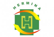 Grup Djarum Kuasai Saham RS  Hermina Senilai Rp1 Triliun