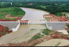 Mengalir Panjang, Dua Sungai Terbesar yang menghidupi Lampung