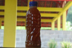 Begini Membuat Pupuk Cair Dari Kotoran Kambing