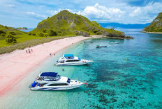 Eksplorasi NTT,  Labuan Bajo Hingga Taman Nasional Komodo