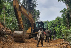WALHI Desak Cabut Izin Perusahaan Perusak Hutan Sumatra