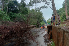 BPBD Imbau Warga Waspada  Bencana Dampak Hujan Deras