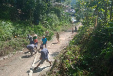 Masyarakat Bandar Agung  Bersihkan Jalan Usaha Tani 