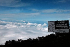 Mayat Pria Tanpa Identitas Ditemukan di Jalur Pendakian Gunung Ciremai