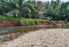 Abrasi Way Ngaras  Kian Mengkhawatirkan